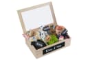 SURPRISA Geschenkbox Schotter Schatulle - 6 Fächer Holzbox mit Glasdeckel Bild 2