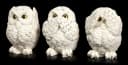 Figuren Shop GmbH Tierfigur Figur - Drei weise Schnee-Eulen - nichts Böses sehen, sprechen, hören Bild 3