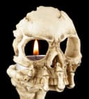Figuren Shop GmbH Teelichthalter Skeletthand mit Totenkopf Gothic Dekoration Bild 5