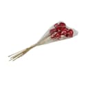 Florists Products Trockenblume Bell Cup Deko Rot 15 St Bild 4
