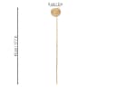 Florists Products Trockenblume Bell Cup Natur Deko am Stiel 15 Stk Bild 1