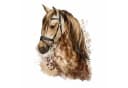 nikima Wandtattoo Pferd Kopf PVC-Folie Braun Bild 2