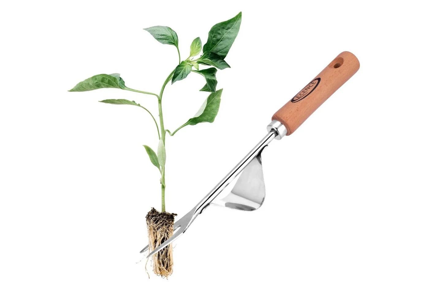 ECENCE Unkrautstecher Edelstahl mit Holzgriff - Bild 2