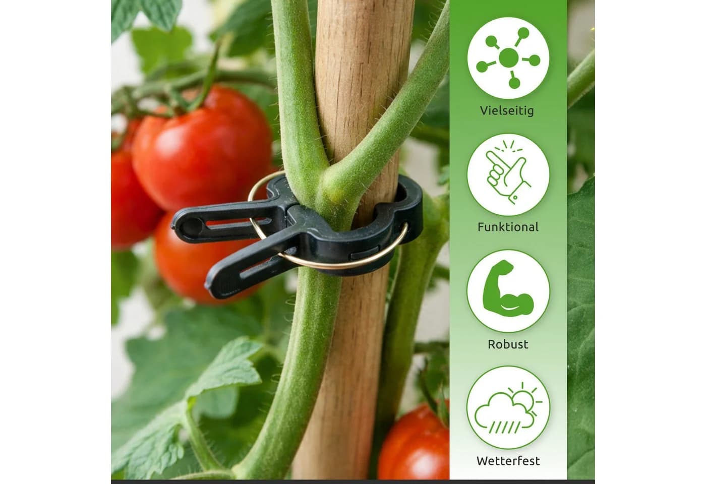 ECENCE Pflanzenclips 60x Pflanzenklammern für Tomaten, Rosen, Reben - Bild 3