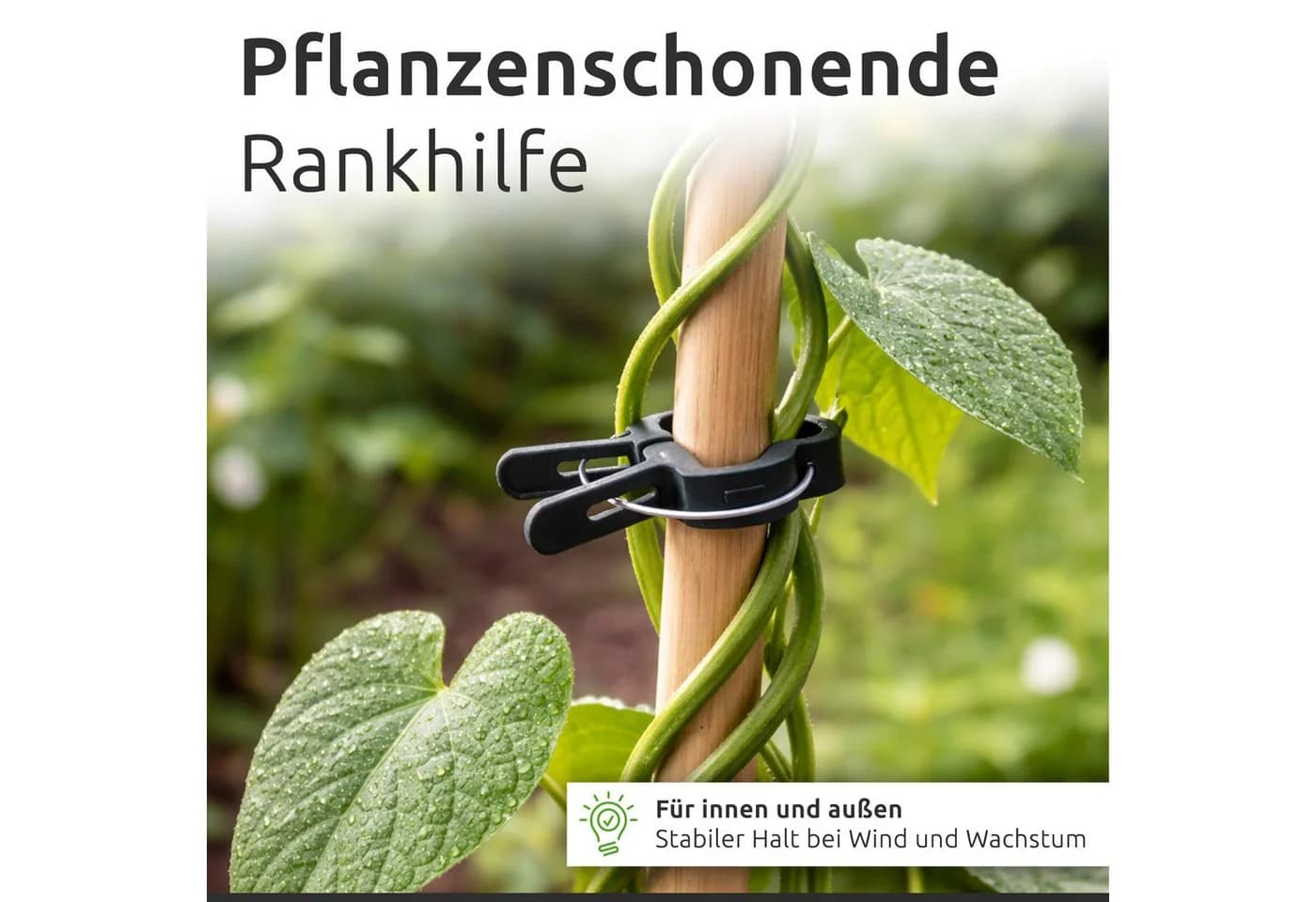ECENCE Pflanzenclips 60x Pflanzenklammern für Tomaten, Rosen, Reben - Bild 5