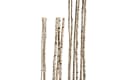 iWerk Birkenstamm Dekofigur 180 cm Natur Bild 2