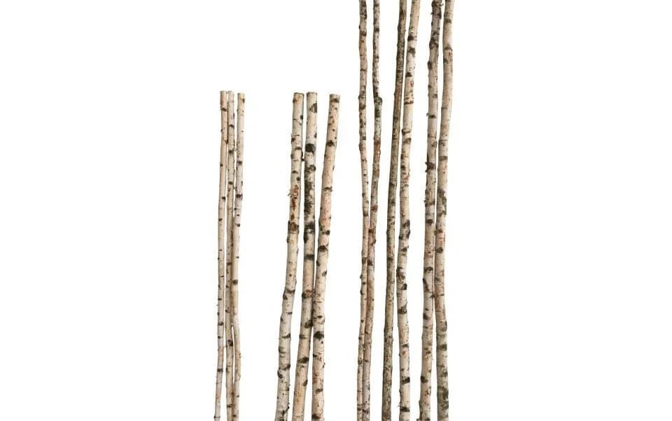iWerk Birkenstamm Dekofigur 180 cm Natur - Bild 2