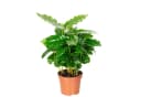 none Bild 2