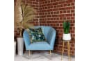Flowerbox Zimmerpflanze Bogenhanf Sansevieria trifasciata Black Coral Bild 3