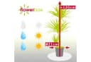 Flowerbox Zimmerpflanze Gerandeter Drachenbaum - Dracaena marginata, pflegeleicht Bild 1