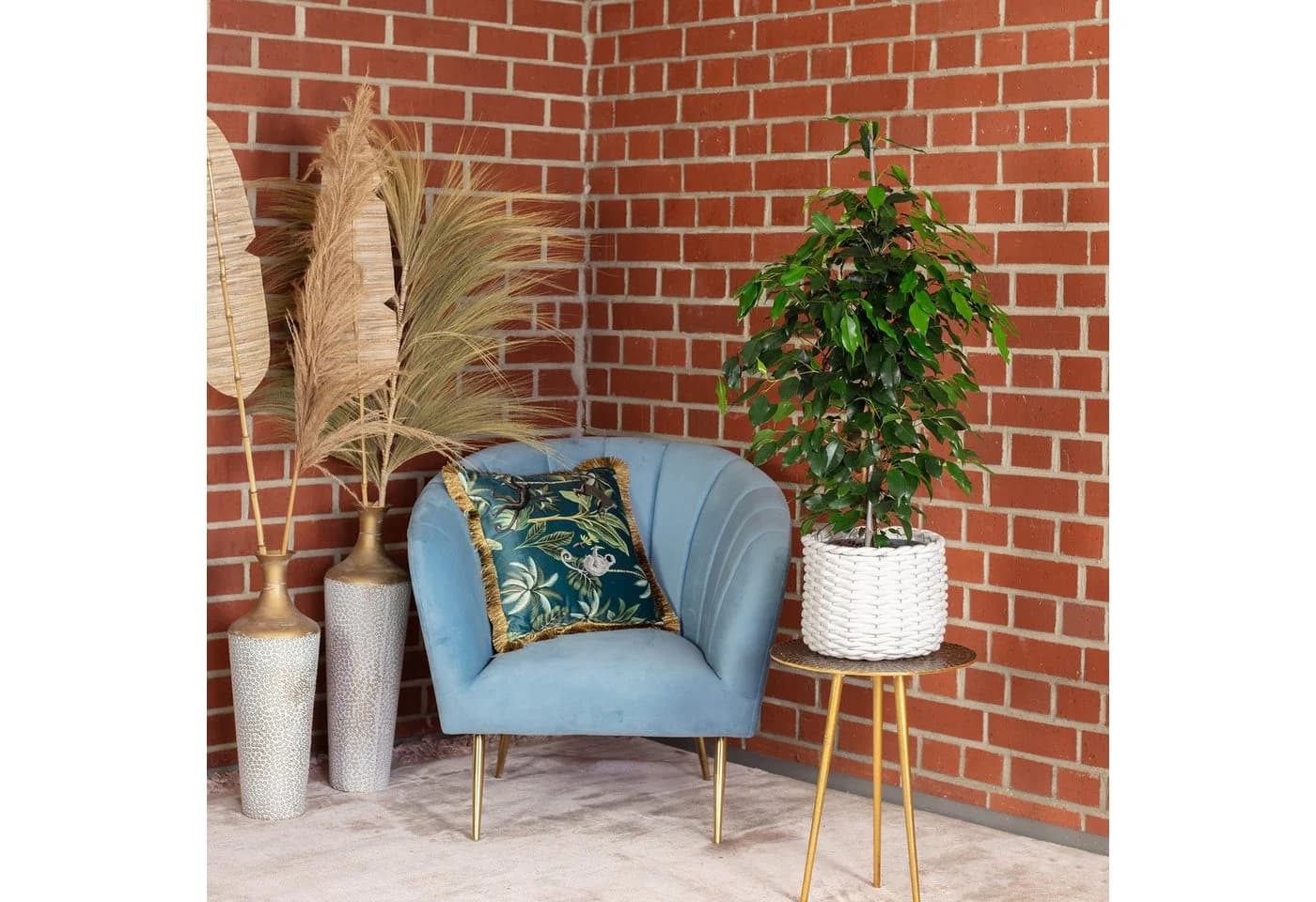 Flowerbox Zimmerpflanze Birkenfeige Ficus benjamini ca. 100 cm - Bild 3