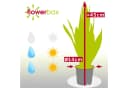 Flowerbox Zimmerpflanze Bogenhanf Sansevieria Laurentii Bild 4