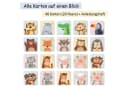 GLÜCKSWOLKE Memory Spiel 40 Karten Montessori Lernspiel ab 2 Jahre Bild 5
