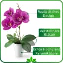 PASCH Kunstorchidee 3er Set in Hochglanz-Keramiktopf Weiß-Rosé Bild 4
