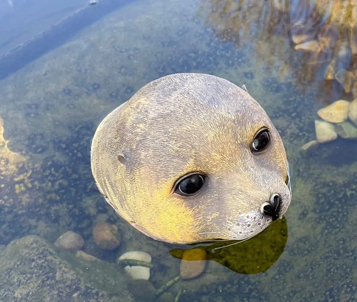 LB H&F Lilienburg Teichfigur Seehund Kopf Schwimmtier Dekofigur