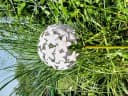 LB H&F Lilienburg Gartenstecker Blume Metall Weiß Wetterfest Bild 1