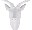 Mojawo Hirschgeweih Wanddeko Hirschkopf Weiß Bild 3