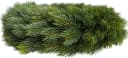 Botanic-Haus Kunstkranz Edel-Adventskranz einseitig Tanne Grün Bild 1