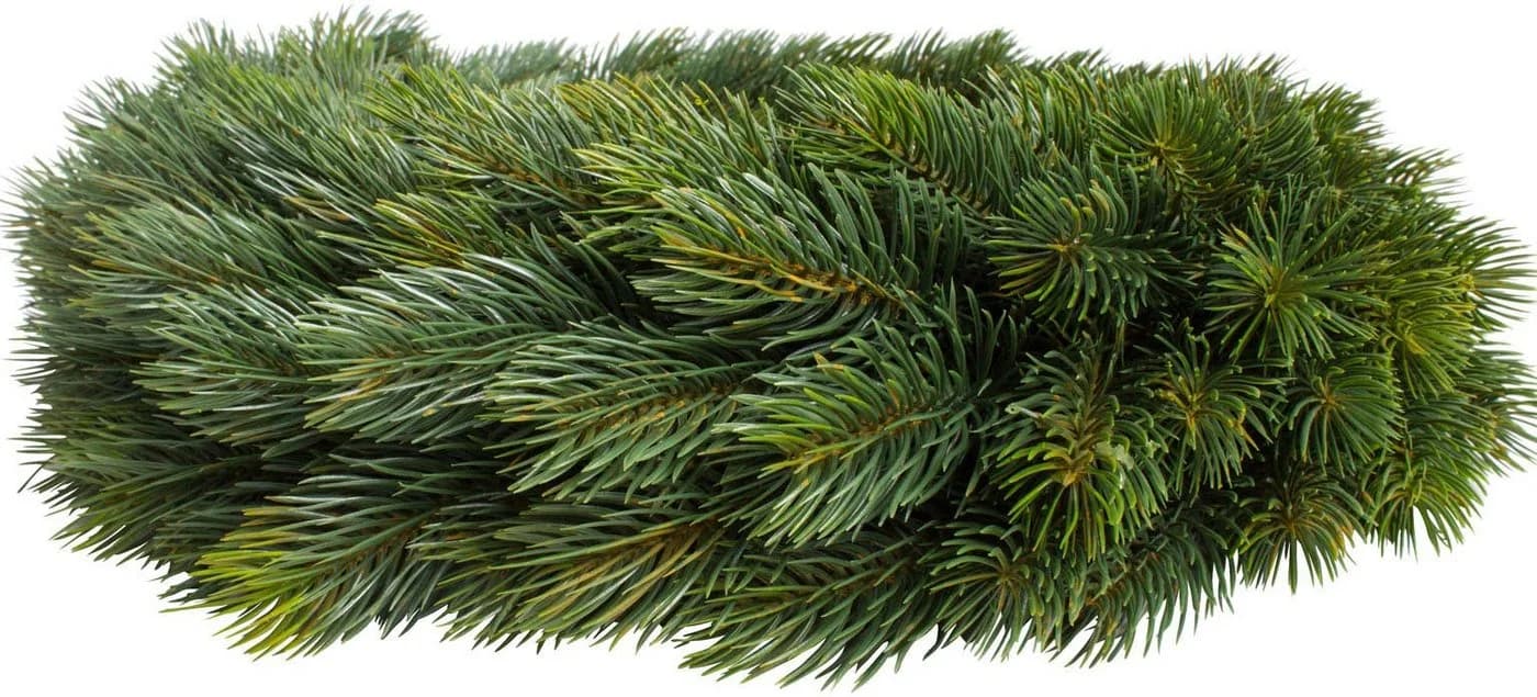 Botanic-Haus Kunstkranz Edel-Adventskranz einseitig Tanne Grün