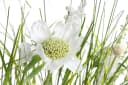 Botanic-Haus Kunstblume Wiesenblumen im Kunststofftopf Bunt/Weiß Bild 1
