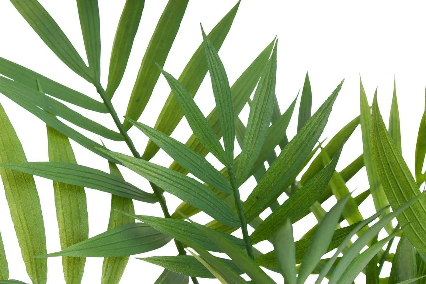 BOTANIC-HAUS Künstliche Chamaedorea Palme Grün mit Schwarzem Topf - Bild 3