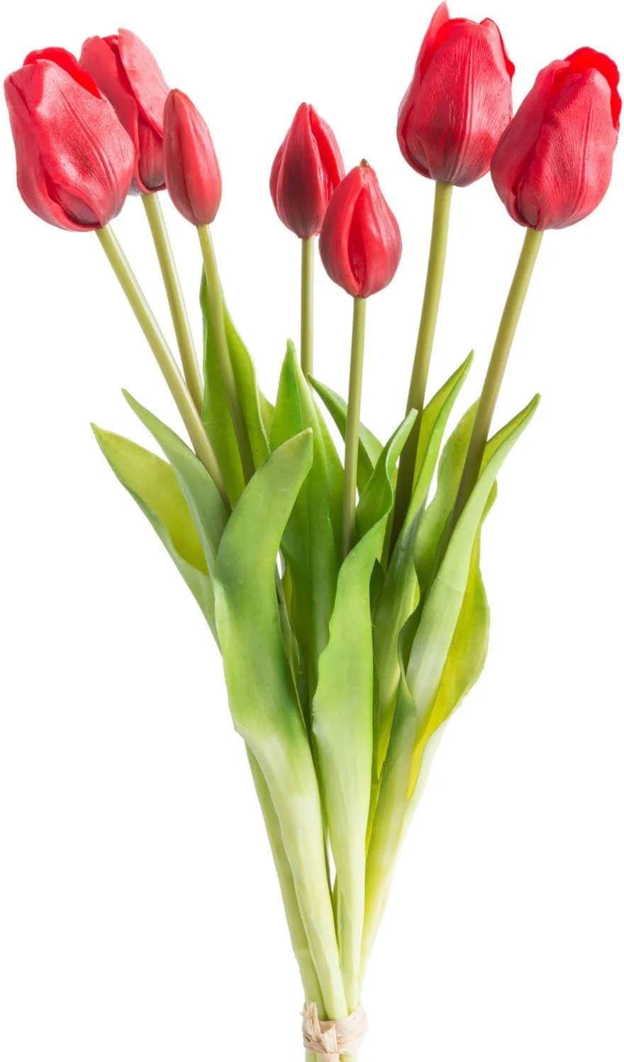 Kunstpflanze Maiva Tulpenbündel 7er-Set Rot Kunststoff