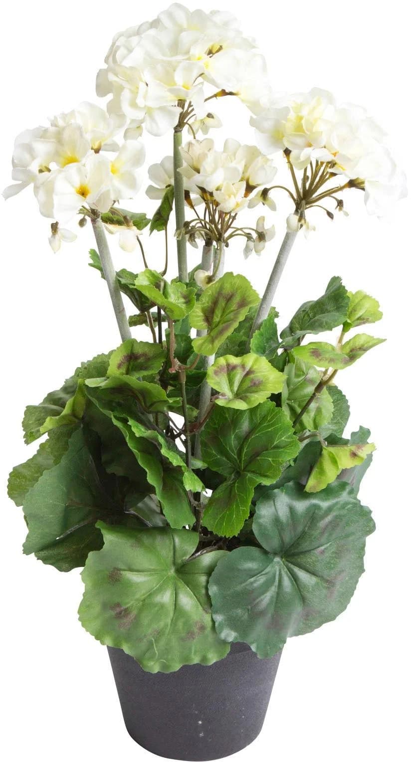 BOTANIC-HAUS Künstliche Geranie Beige Schwarz Topf