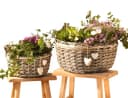 Dekoleidenschaft Pflanzschale Pflanzkörbe aus Weide, grau, Pflanztopf, Blumenschale mit Deko-Herzen (2 St., im Set) Bild 2