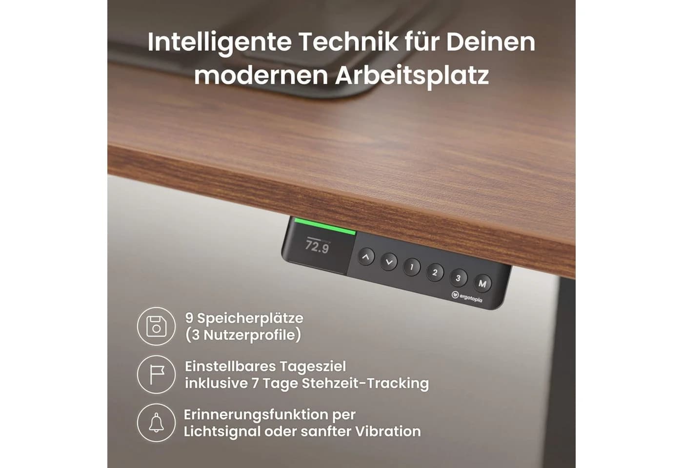 Ergotopia Desktopia Pro X Schreibtisch elektrisch höhenverstellbar braun - Bild 5