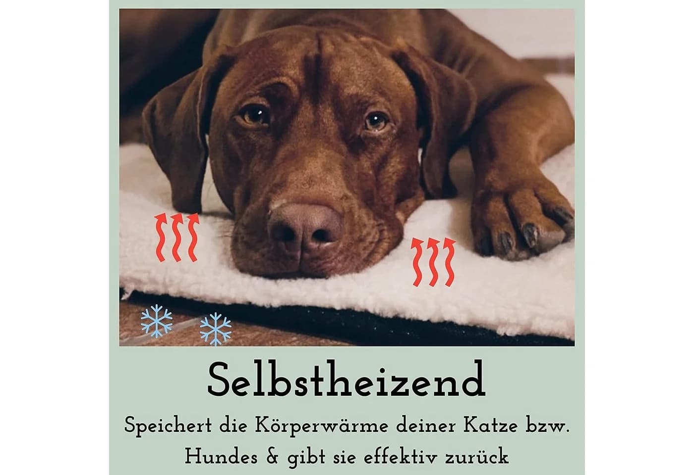riijk Selbstheizende Wärmedecke für Hunde & Katzen, Vlies, Beige