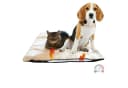 riijk Selbstheizende Wärmedecke für Hunde & Katzen, Vlies, Beige Bild 2