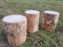 Kistenkolli Allzweckkiste Holzstamm Sitzhocker Rustikal Bild 3
