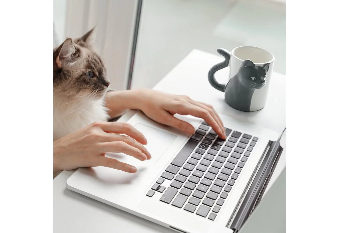 MiaMio Tasse 3D-Katzen 350 ml 2-tlg. Keramik Grau - Bild 3