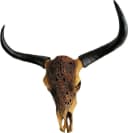 MichaelNoll Wanddekoobjekt Stierkopf Bullenschädel Polyresin Riesig Bild 3