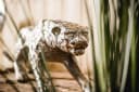 MichaelNoll Dekofigur Leopard Silber Aluminium Skulptur Bild 4