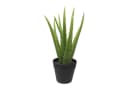 Kunstpflanze Aloe Vera MichaelNoll Bild 2