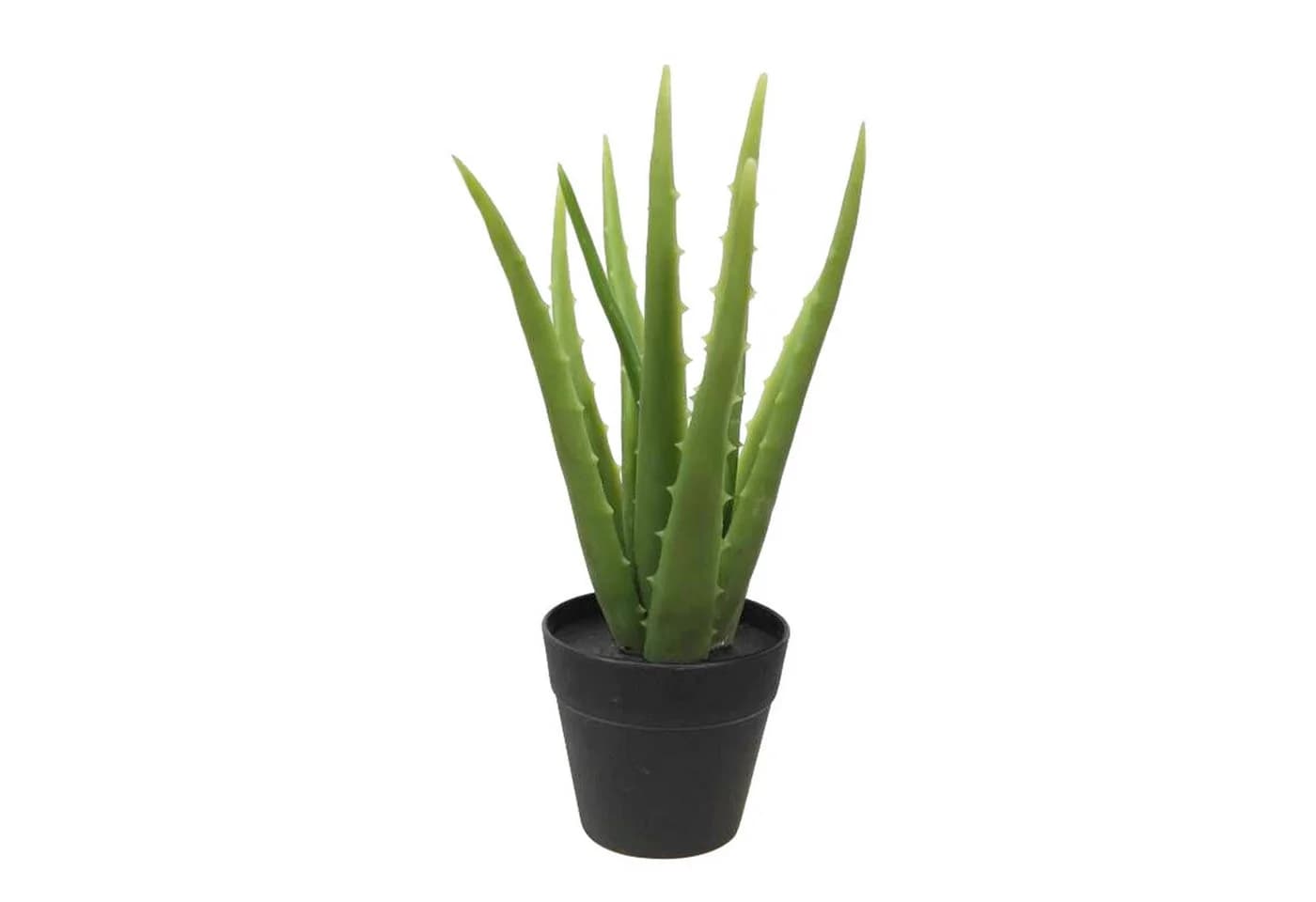 Kunstpflanze Aloe Vera MichaelNoll - Bild 2