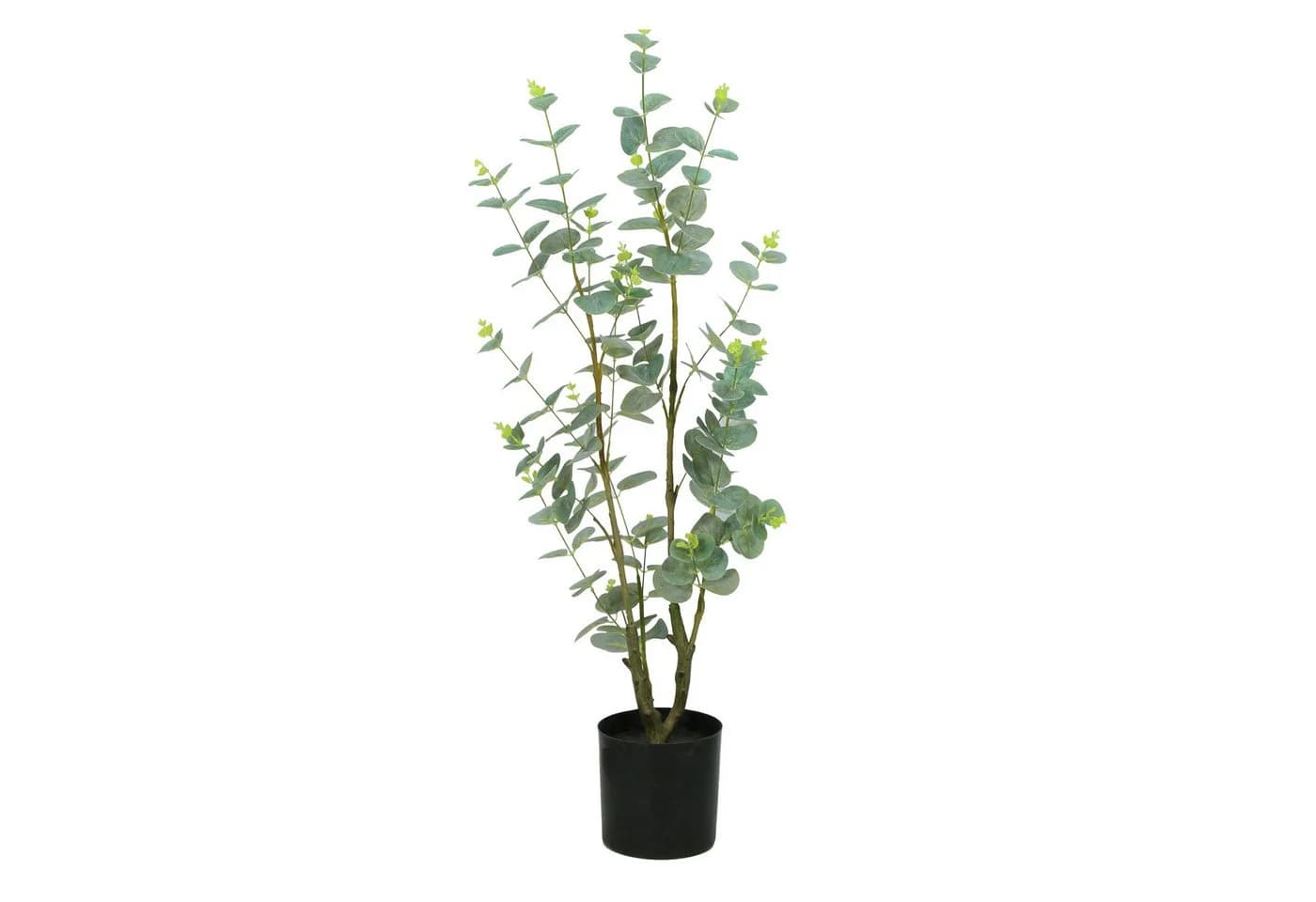 MichaelNoll Kunstpflanze Eukalyptus Grün 80 cm mit Topf - Bild 2