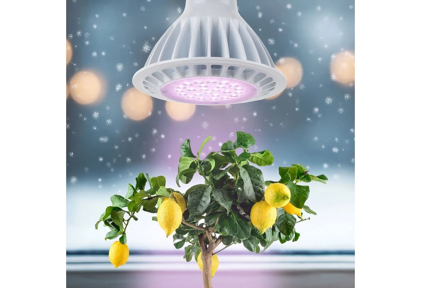 Meine Orangerie Pflanzenlampe SPOT LED-Pflanzenlampe - Bild 2