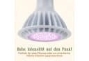 Meine Orangerie Pflanzenlampe SPOT LED-Pflanzenlampe Bild 3