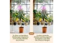 Meine Orangerie Pflanzenlampe SPOT LED-Pflanzenlampe Bild 5