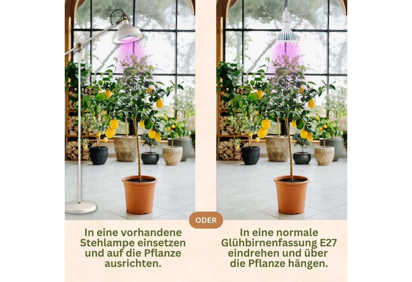 Meine Orangerie Pflanzenlampe SPOT LED-Pflanzenlampe - Bild 5