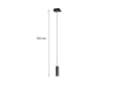 TRIO Leuchten LED Pendelleuchte Schwarz Ø12cm Bild 3