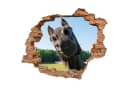 WallSpirit Wandtattoo Wanddurchbruch "Pferdekopf" Selbstklebend Bunt Bild 2