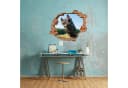 WallSpirit Wandtattoo Wanddurchbruch "Pferdekopf" Selbstklebend Bunt Bild 5
