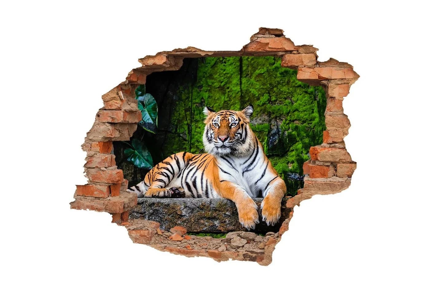 WallSpirit Wandtattoo Wanddurchbruch Tiger Selbstklebend Rückstandslos Abziehbar - Bild 2