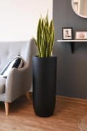 VIVANNO Bodenvase SOLERIO Schwarz Matt Fiberglas Bild 3