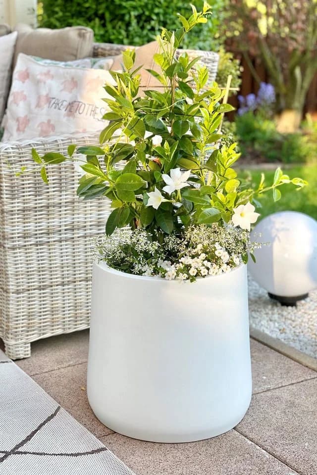 VIVANNO Blumentopf Fiberglas VEKRA Rund Weiß Matt