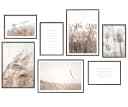 Hyggelig Home Poster Gräser - Premium Poster Set 7 Wandbilder Beige Pflanze Bild 2