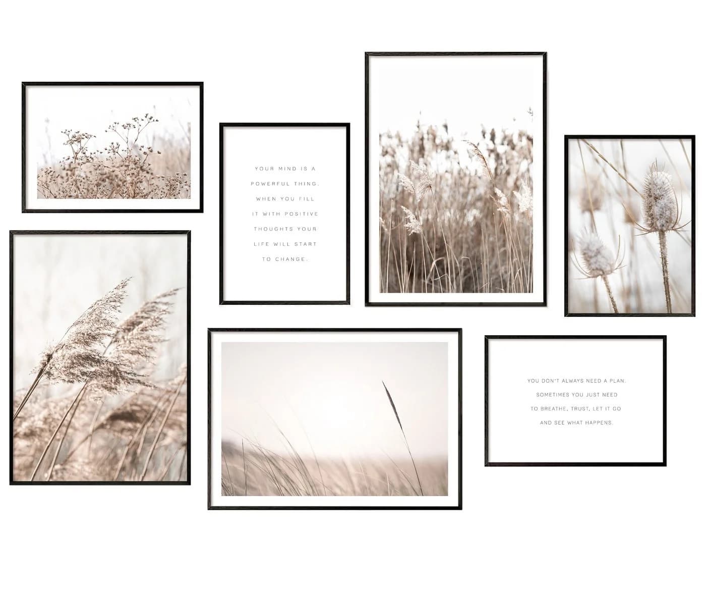 Hyggelig Home Poster Gräser - Premium Poster Set 7 Wandbilder Beige Pflanze - Bild 2